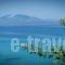 Arvanitakis Studios_accommodation_in_Hotel_Ionian Islands_Zakinthos_Zakinthos Rest Areas
