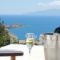 Apostolis Windmill_accommodation_in_Hotel_Cyclades Islands_Mykonos_Mykonos ora