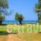 Paradiso Apartment_best deals_Apartment_Aegean Islands_Thasos_Thasos Chora