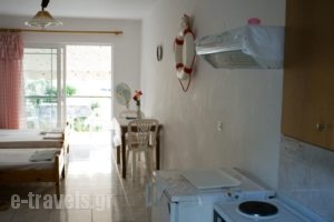 Akis Apartments_best prices_in_Apartment_Ionian Islands_Lefkada_Lefkada Rest Areas