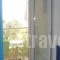 Panaretos Rooms_best deals_Room_Aegean Islands_Thasos_Thasos Chora