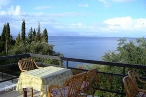 Karina_best deals_Apartment_Ionian Islands_Corfu_Benitses