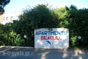 Apartments Seagull_best prices_in_Apartment_Dodekanessos Islands_Kos_Kos Chora