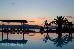 Thalassa Hotel & Spa_best deals_Hotel_Central Greece_Aetoloakarnania_Varko