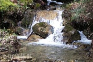 Dioni Resort_best deals_Hotel_Thessaly_Larisa_Larisa City
