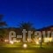 Nefeli Studios_best prices_in_Hotel_Macedonia_Halkidiki_Toroni