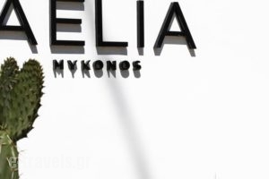 Aelia Mykonos_accommodation_in_Hotel_Cyclades Islands_Mykonos_Mykonos ora