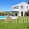 Villa Banjo in Saronida_best prices_in_Villa_Central Greece_Attica_Anabyssos