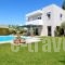 Villa Banjo in Saronida_best prices_in_Villa_Central Greece_Attica_Anabyssos