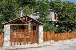 Pileas & Thetis Villa_s __1
