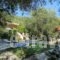 Rozalia Studios_best prices_in_Hotel_Ionian Islands_Lefkada_Sivota