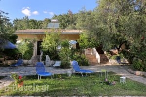 Rozalia Studios_travel_packages_in_Ionian Islands_Lefkada_Sivota