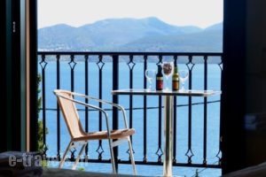 Vergina Star Hotel_best prices_in_Hotel_Ionian Islands_Lefkada_Lefkada's t Areas