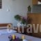 Jimmy'S Guest House'S Kiathos_accommodation_in_Hotel_Sporades Islands_Skiathos_Skiathos Chora
