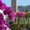 Axilleion Guest House_best deals_Hotel_Cyclades Islands_Syros_Syros Chora