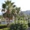 Melia Sol Art Studios_lowest prices_in_Hotel_Aegean Islands_Chios_Chios Rest Areas