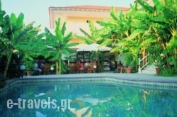 Odysseas_s __1