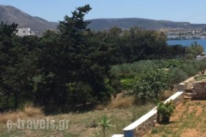 Capricorns Studios_best prices_in_Hotel_Cyclades Islands_Paros_Paros Chora