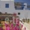 Villa Meltemi_travel_packages_in_Cyclades Islands_Iraklia_Iraklia Chora