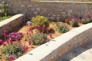 Villa Meltemi_holidays_in_Villa_Cyclades Islands_Iraklia_Iraklia Chora