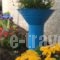 Casa Del Sol_lowest prices_in_Hotel_Cyclades Islands_Paros_Parasporos