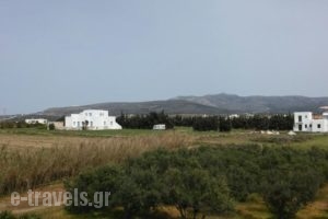 Kambos Kottage_lowest prices_in_Hotel_Cyclades Islands_Paros_Paros Chora