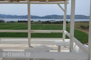 Kambos Kottage_holidays_in_Hotel_Cyclades Islands_Paros_Paros Chora