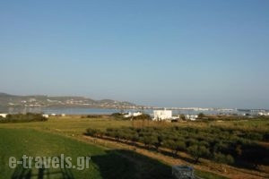 Kambos Kottage_accommodation_in_Hotel_Cyclades Islands_Paros_Paros Chora