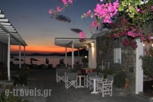Agia Anna Studios_lowest prices_in_Hotel_Cyclades Islands_Mykonos_Mykonos Chora