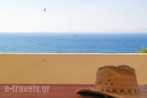 Morfes Ii_accommodation_in_Hotel_Cyclades Islands_Naxos_Naxos chora