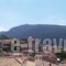 Alexandros Pension_accommodation_in_Hotel_Central Greece_Fokida_Amfissa