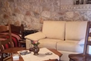 Alexandros Pension_travel_packages_in_Central Greece_Fokida_Amfissa