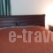 Alexandros Pension_best deals_Hotel_Central Greece_Fokida_Amfissa