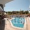 Stella Katrin_holidays_in_Hotel_Crete_Rethymnon_Adelianos Kampos