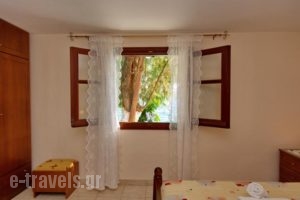 Studios Alexandra_accommodation_in_Hotel_Sporades Islands_Skopelos_Skopelos Chora