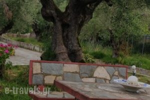 Villa Gerakas_holidays_in_Villa_Ionian Islands_Zakinthos_Zakinthos Rest Areas
