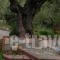 Villa Gerakas_holidays_in_Villa_Ionian Islands_Zakinthos_Zakinthos Rest Areas