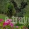 Villa Gerakas_best deals_Villa_Ionian Islands_Zakinthos_Zakinthos Rest Areas