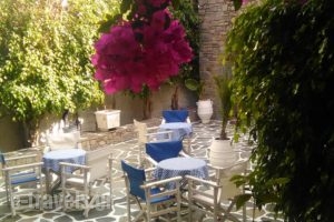 Hotel Grivas_accommodation_in_Hotel_Cyclades Islands_Paros_Paros Chora