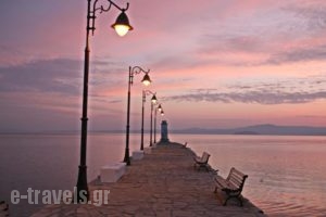 Gregory Apartments_travel_packages_in_Macedonia_Halkidiki_Pefkochori