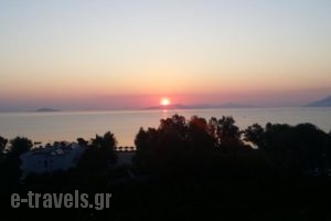 Aristotelis_holidays_in_Hotel_Peloponesse_Argolida_Archea (Palea) Epidavros