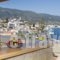 Dimitra Hotel_best prices_in_Hotel_Piraeus Islands - Trizonia_Trizonia_Trizonia Rest Areas