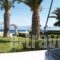 Nefeli Studios_best deals_Hotel_Central Greece_Fokida_Eratini