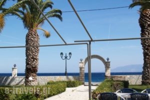 Nefeli Studios_holidays_in_Hotel_Central Greece_Fokida_Eratini