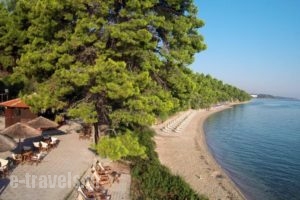 Kriopigi Beach Hotel_travel_packages_in_Macedonia_Halkidiki_Kassandreia