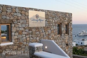 Seethrough Mykonos_best prices_in_Hotel_Cyclades Islands_Mykonos_Platys Gialos