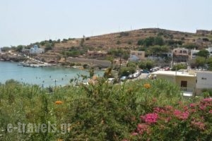 Hotel Alexandra_travel_packages_in_Cyclades Islands_Syros_Posidonia