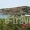 Hotel Alexandra_travel_packages_in_Cyclades Islands_Syros_Posidonia