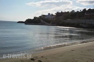 Hotel Alexandra_best deals_Hotel_Cyclades Islands_Syros_Posidonia