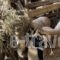 Ktima Bellou_lowest prices_in_Hotel_Thessaly_Larisa_Livadi
